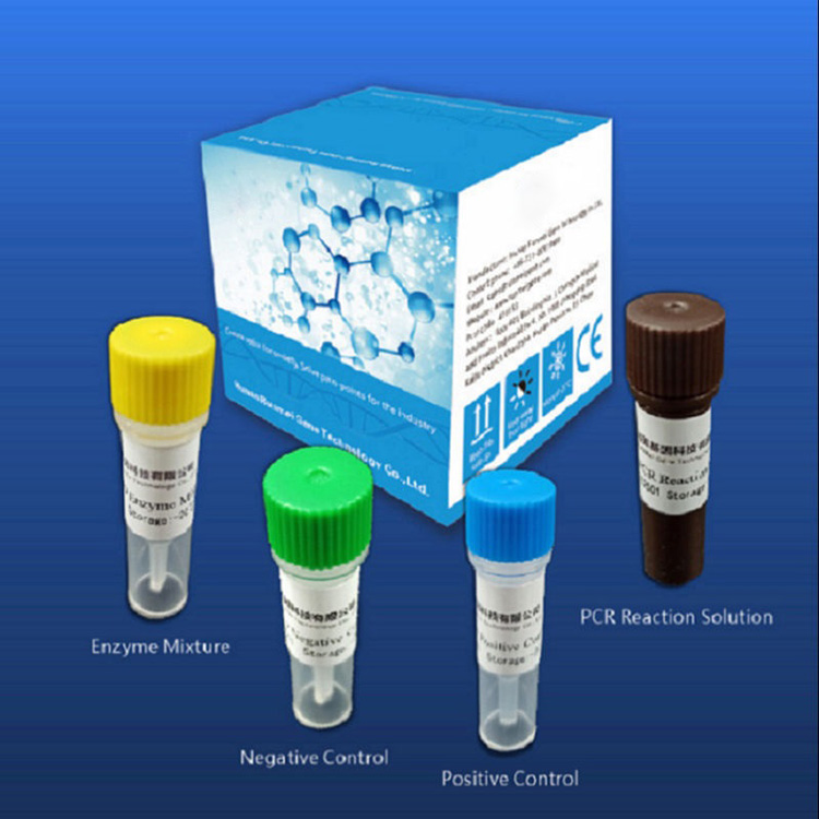 Les kits de test de diagnostic de réactif pour Covid-2019 dépendent de la plate-forme PCr en temps réel